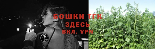 ALPHA-PVP Новозыбков