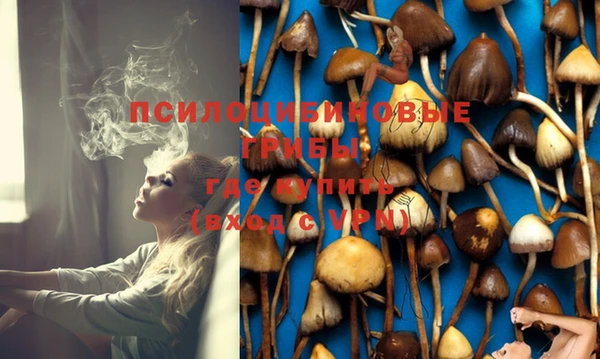 прущие крисы Новокубанск