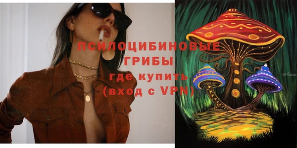 ALPHA-PVP Новозыбков