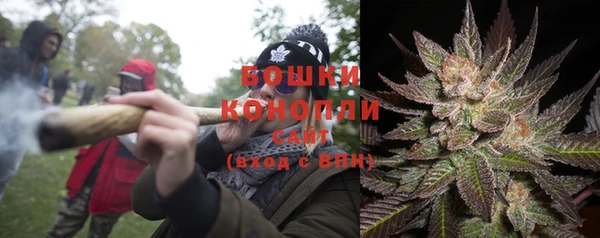 прущие крисы Новокубанск
